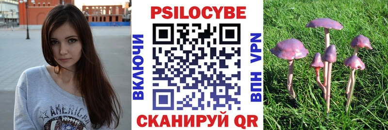 как найти наркотики  Хотьково  Псилоцибиновые грибы Cubensis 
